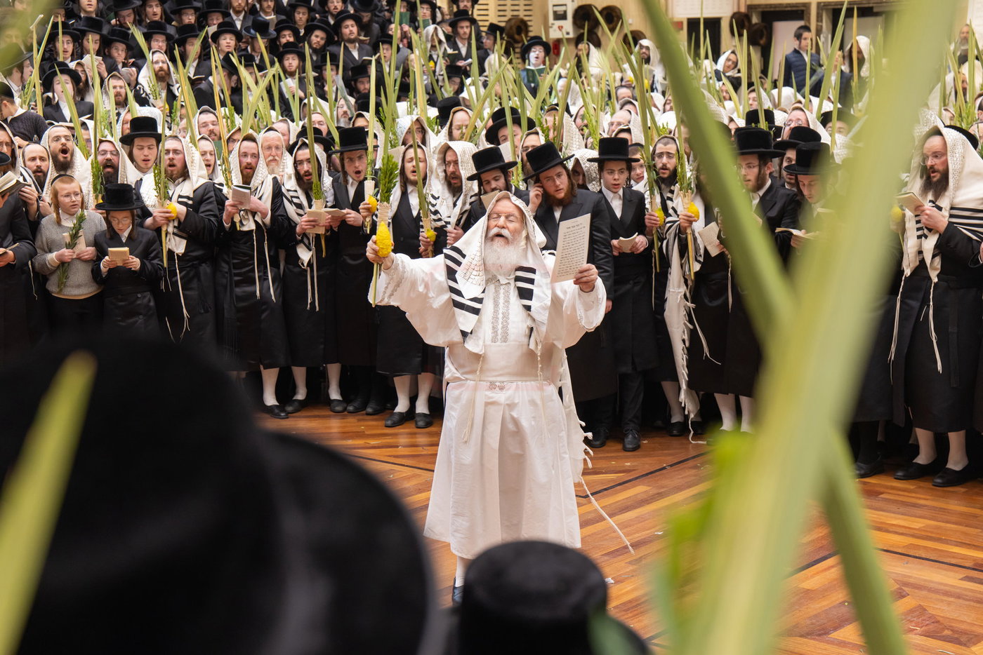 הושענא רבה בחצה"ק באבוב