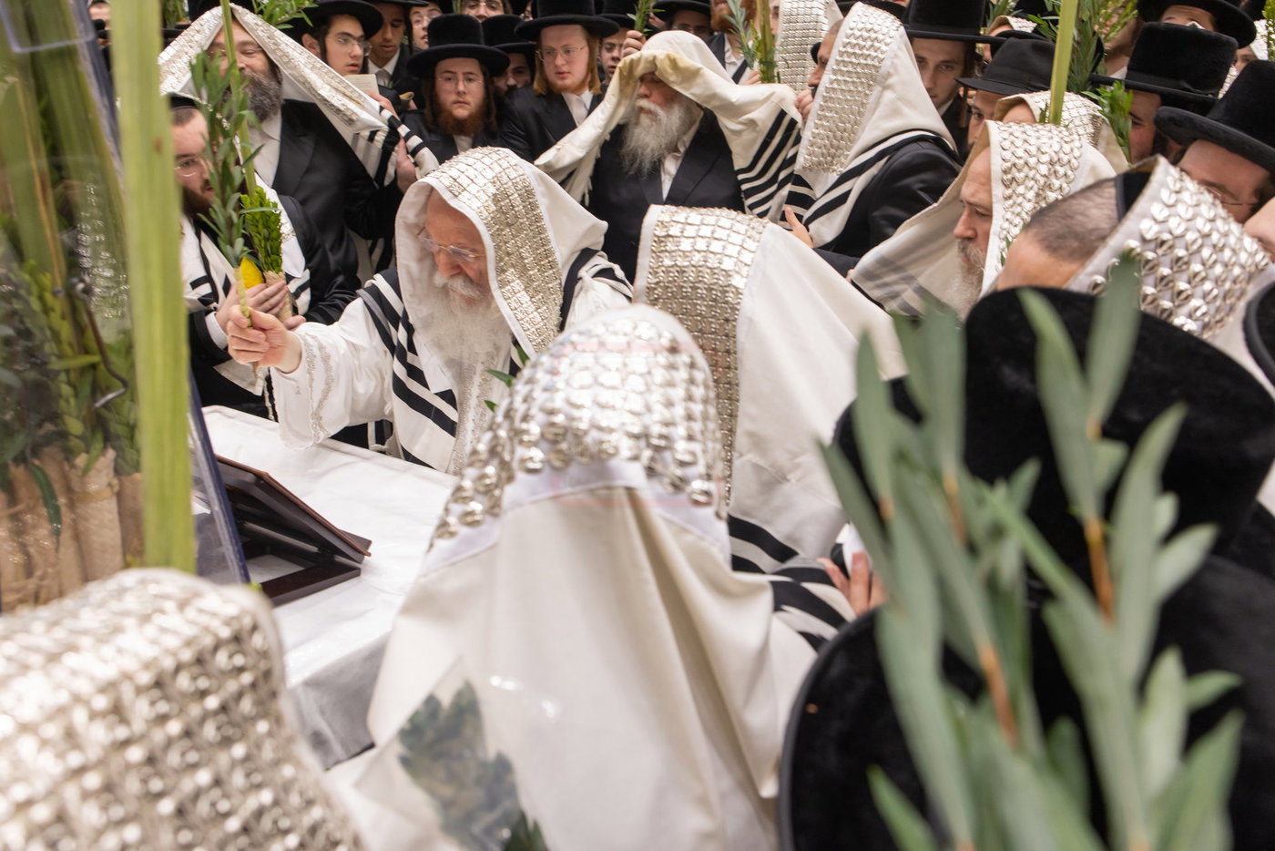 הושענא רבה בחצה"ק באבוב