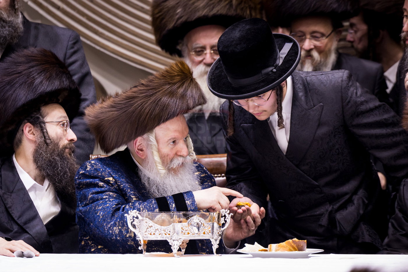 סוכות בחצה"ק באבוב