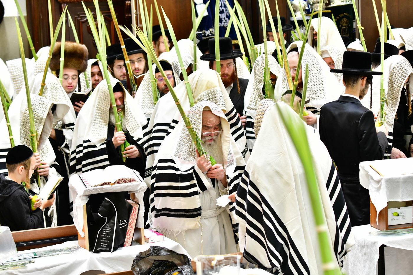 חג הסוכות בחצה"ק קרעטשניף י-ם