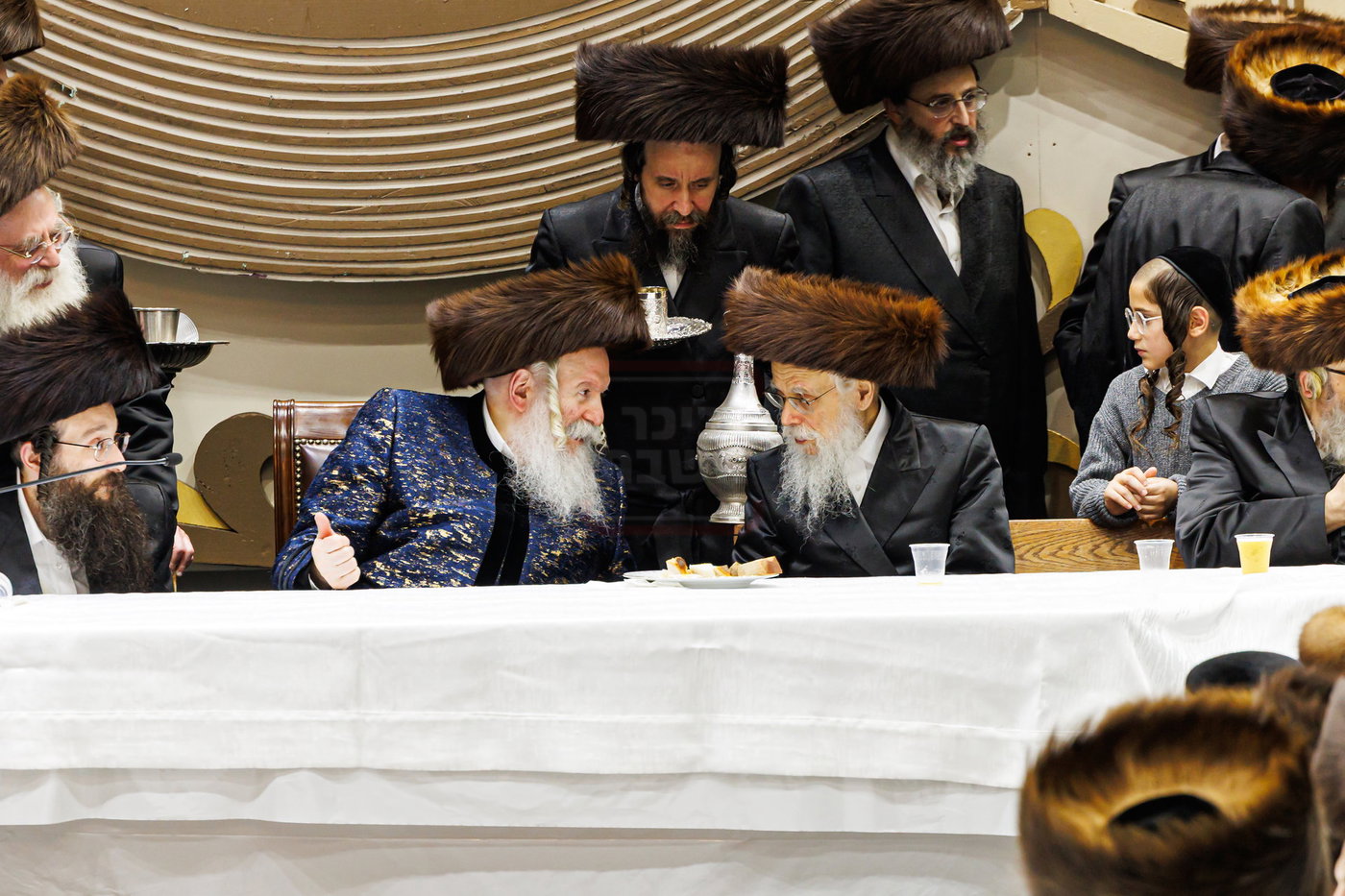 סוכות בחצה"ק באבוב