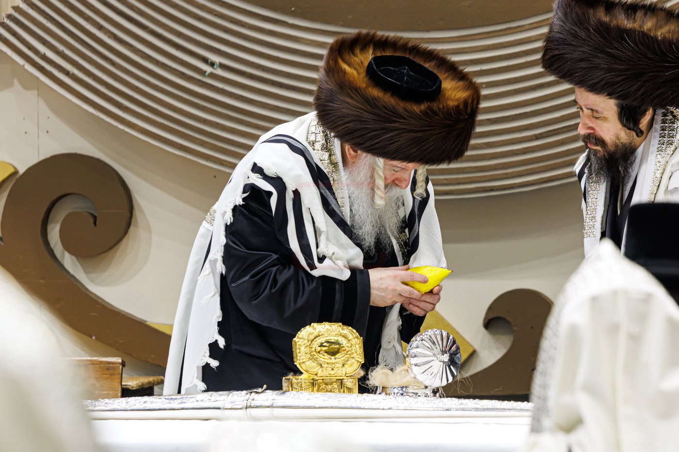 האדמו"ר מבאבוב בנענועים בחג הסוכות