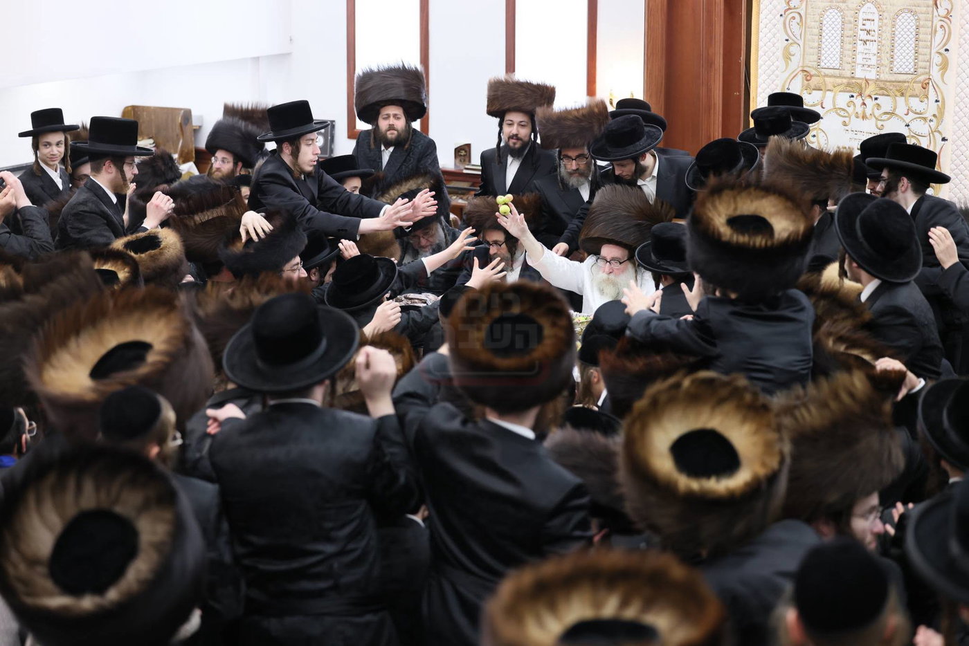 ימי החג בחצה"ק תולדות צבי דספינקא