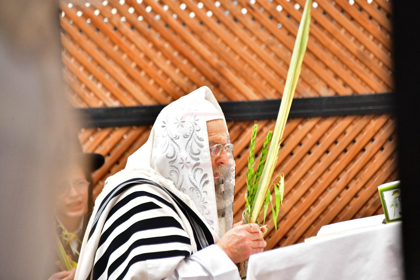 הושענא רבה בחצה"ק פינסק קרלין