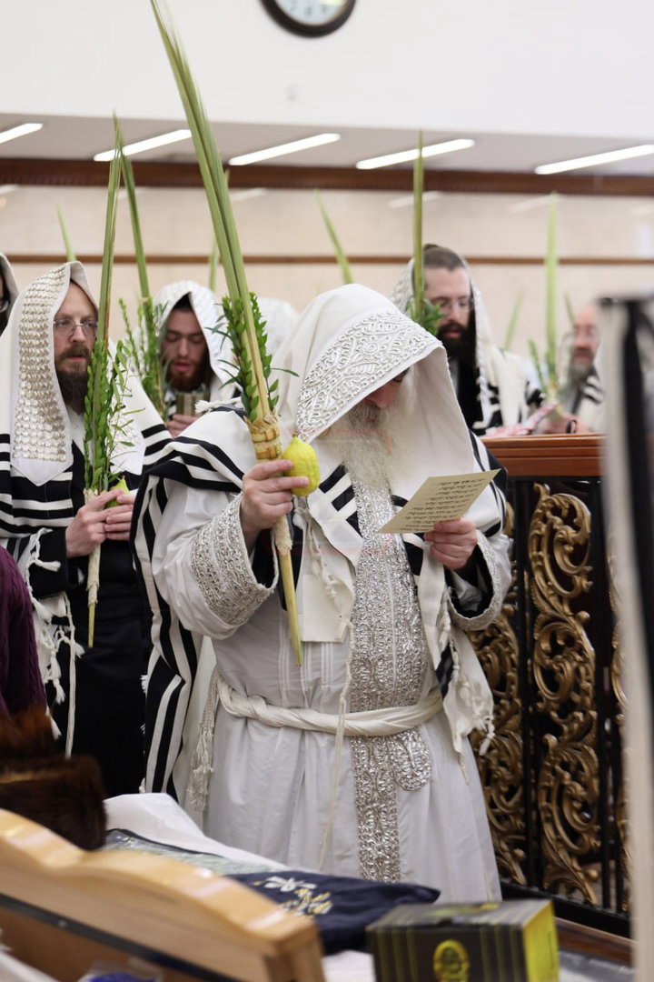ימי החג בחצה"ק קראלי