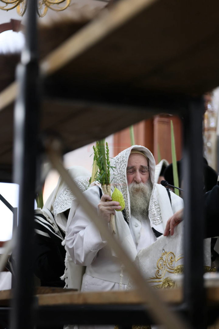 ימי החג בחצה"ק תולדות צבי דספינקא