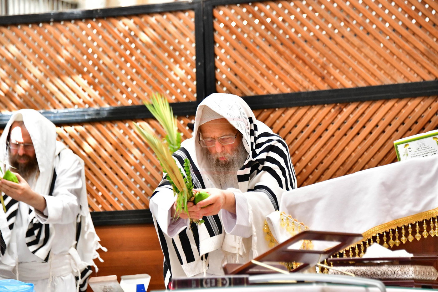 הושענא רבה בחצה"ק פינסק קרלין