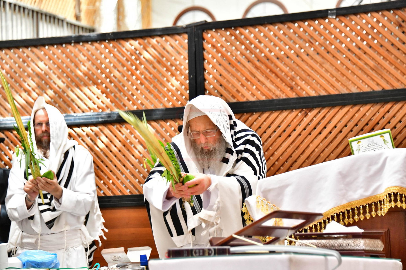 הושענא רבה בחצה"ק פינסק קרלין