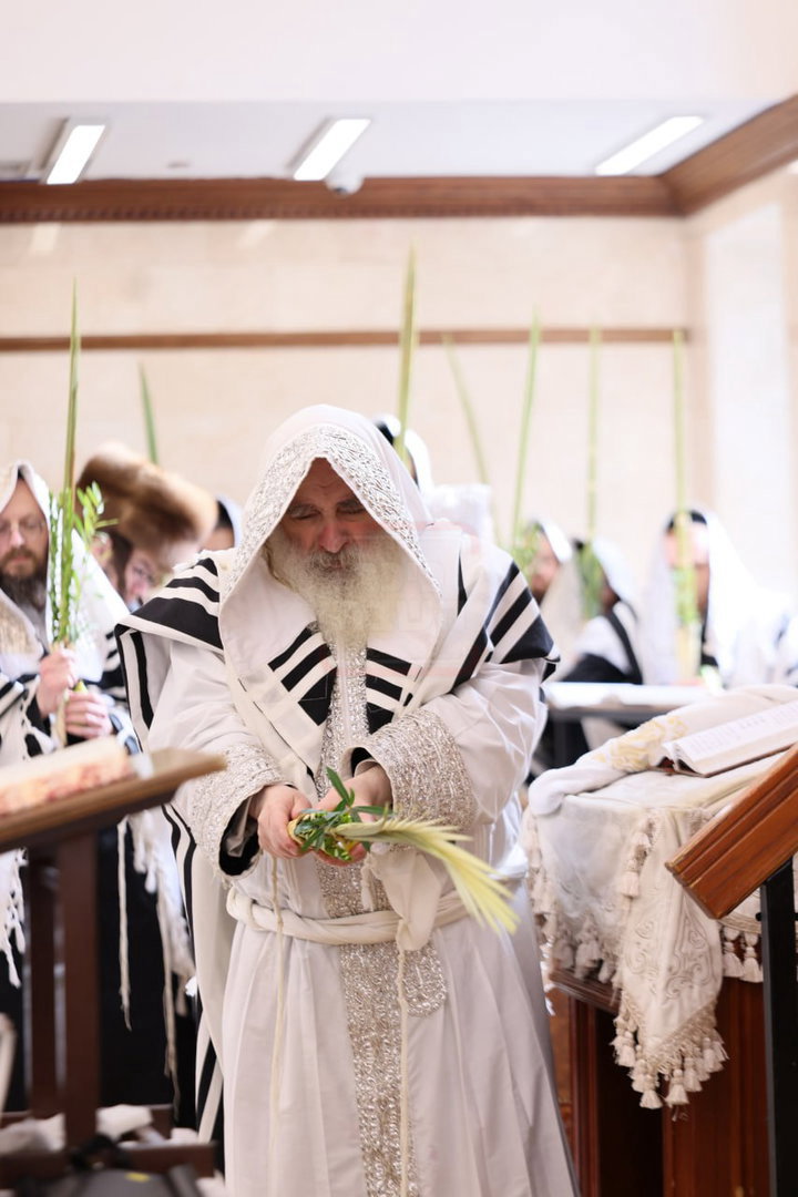 ימי החג בחצה"ק קראלי