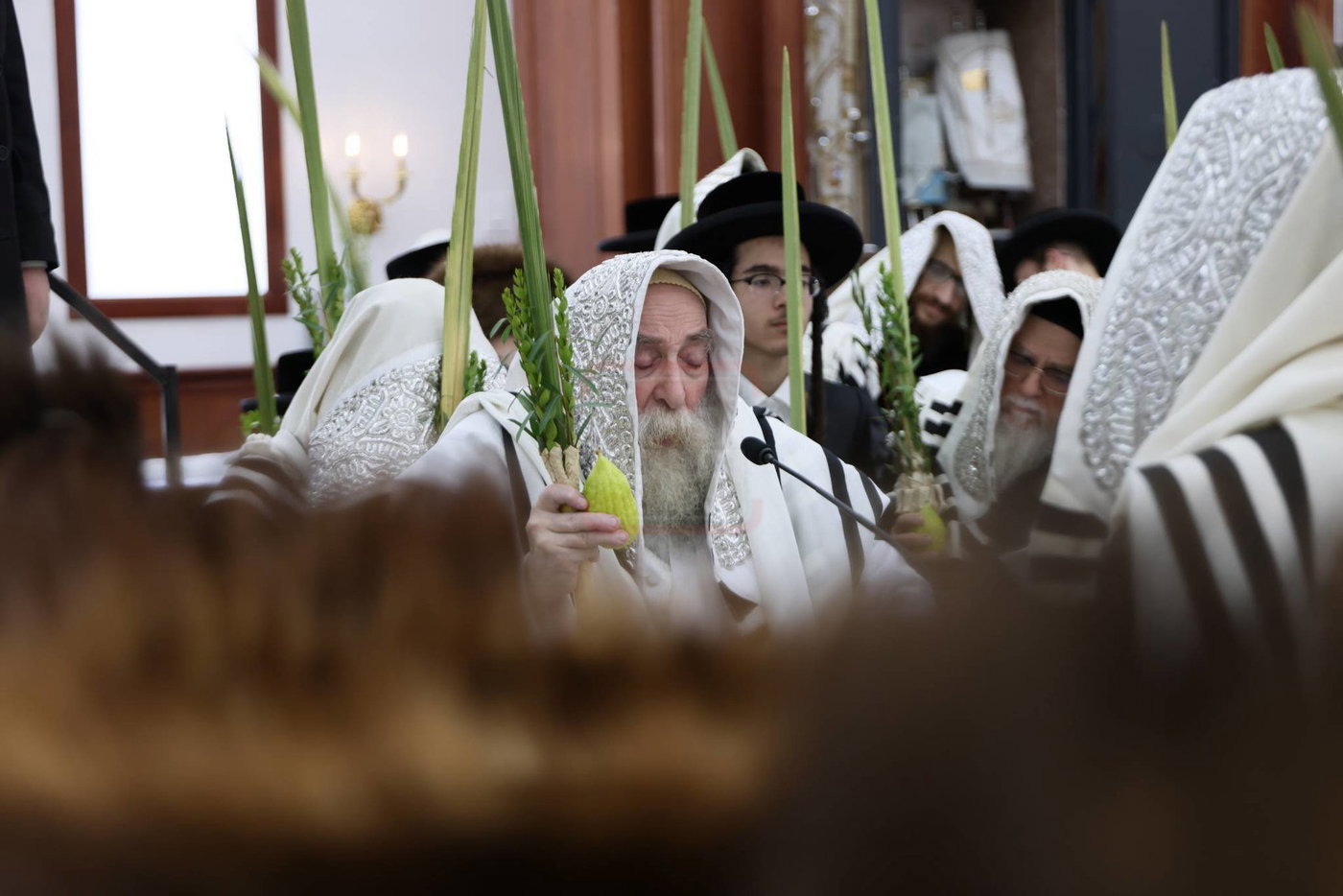 ימי החג בחצה"ק תולדות צבי דספינקא
