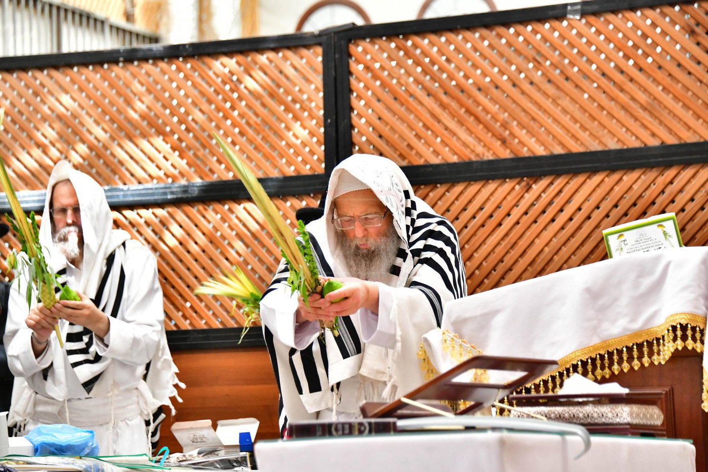 הושענא רבה בחצה"ק פינסק קרלין