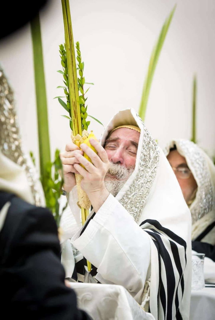 ימי החג בחצה"ק תולדות צבי דספינקא