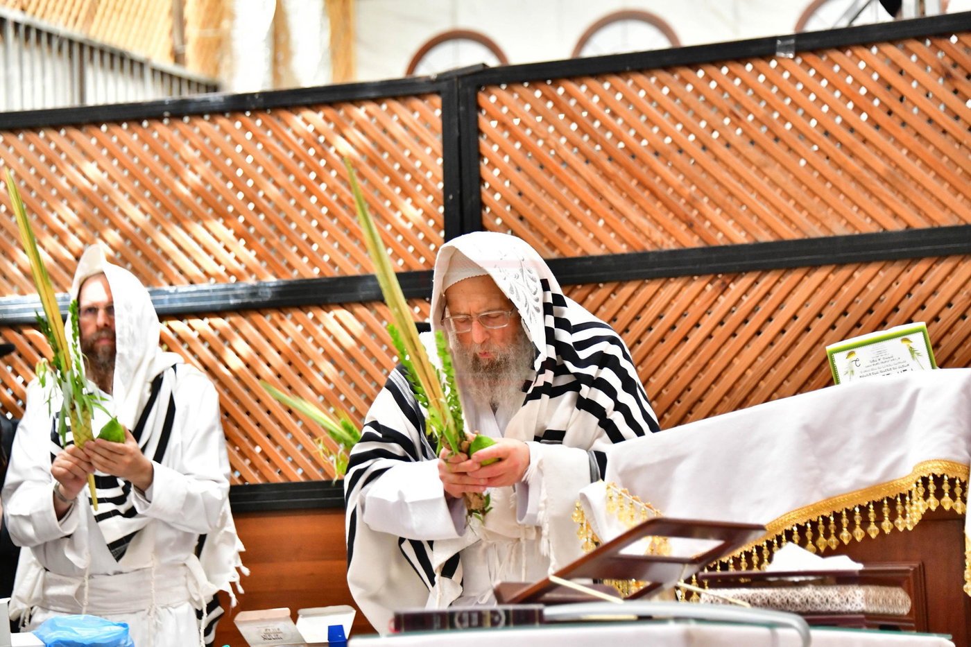 הושענא רבה בחצה"ק פינסק קרלין
