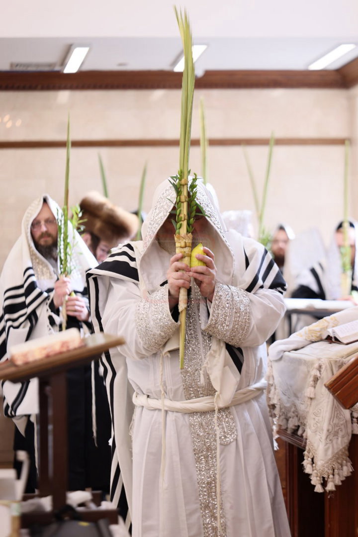 ימי החג בחצה"ק קראלי