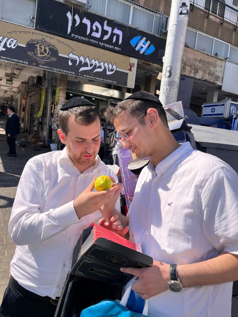 'זופניק בכיכר' עם כל התמונות, הנייעס והחשיפות של חג הסוכות
