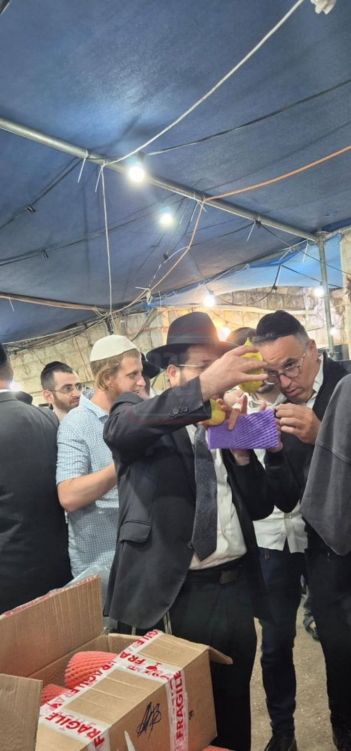 'זופניק בכיכר' עם כל התמונות, הנייעס והחשיפות של חג הסוכות