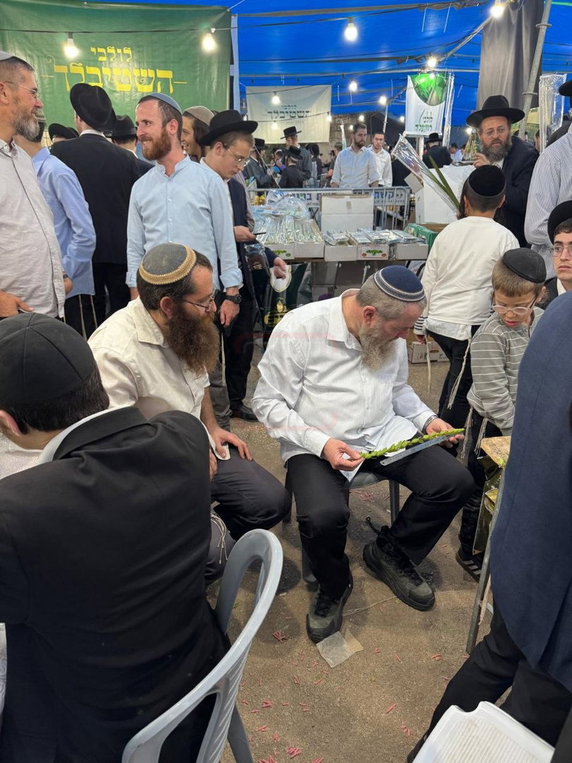 'זופניק בכיכר' עם כל התמונות, הנייעס והחשיפות של חג הסוכות