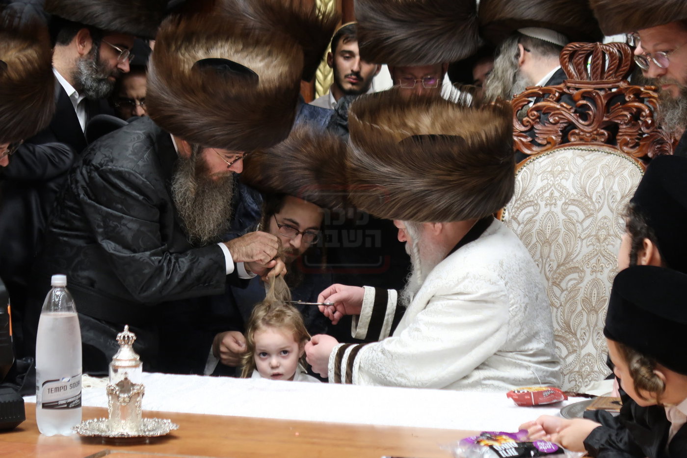 שמחת החלאקה לנכד האדמו"ר מפרמישלאן