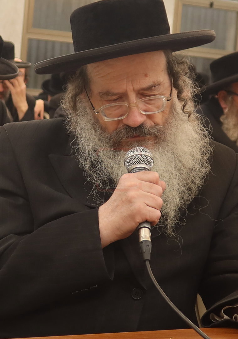 כינוסי המחאה נגד הקבורה