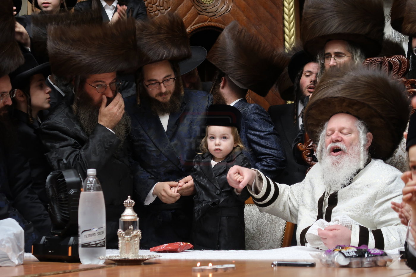 שמחת החלאקה לנכד האדמו"ר מפרמישלאן