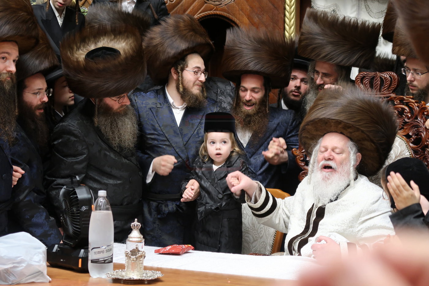 שמחת החלאקה לנכד האדמו"ר מפרמישלאן
