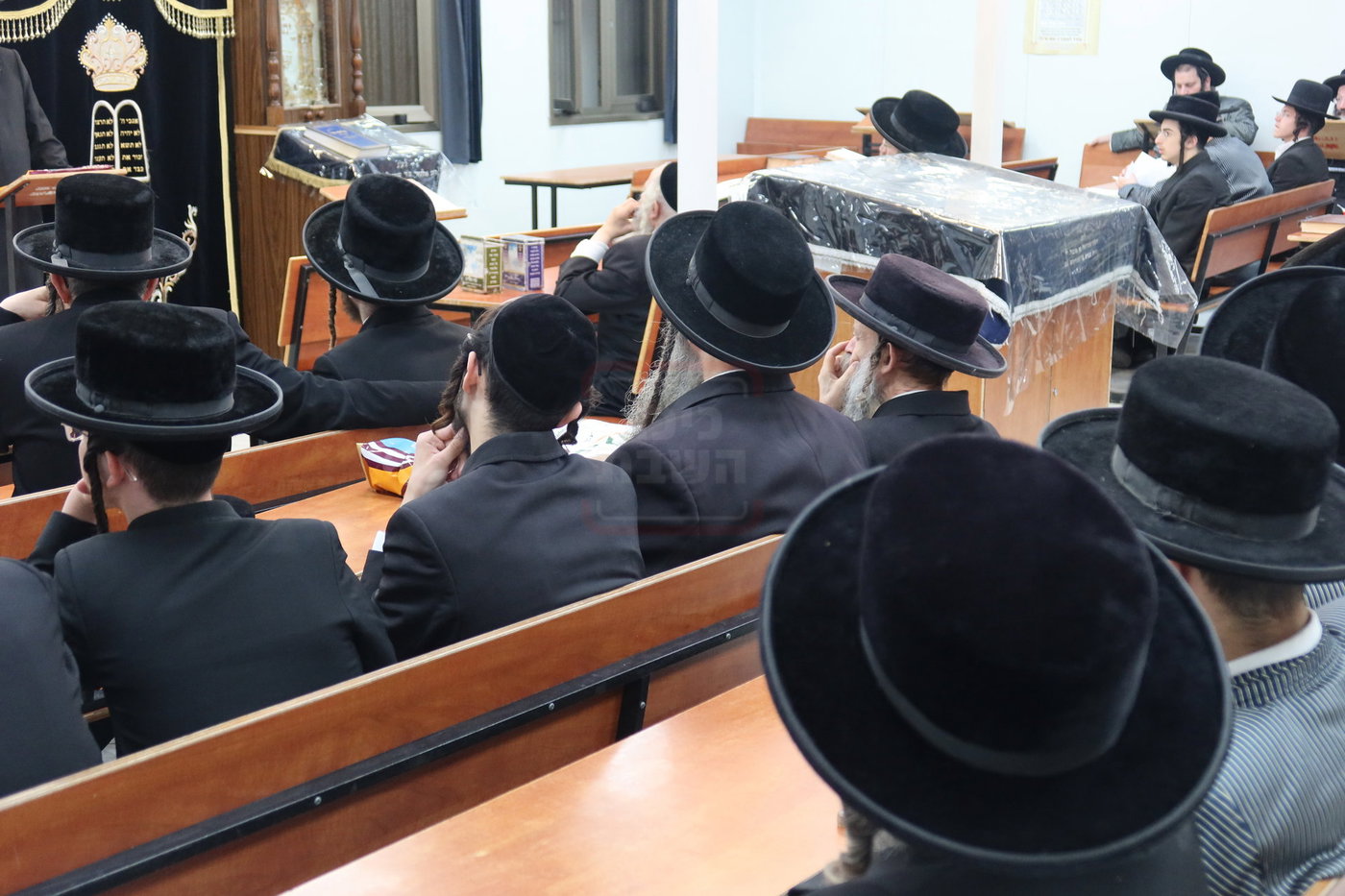 כינוסי המחאה נגד הקבורה