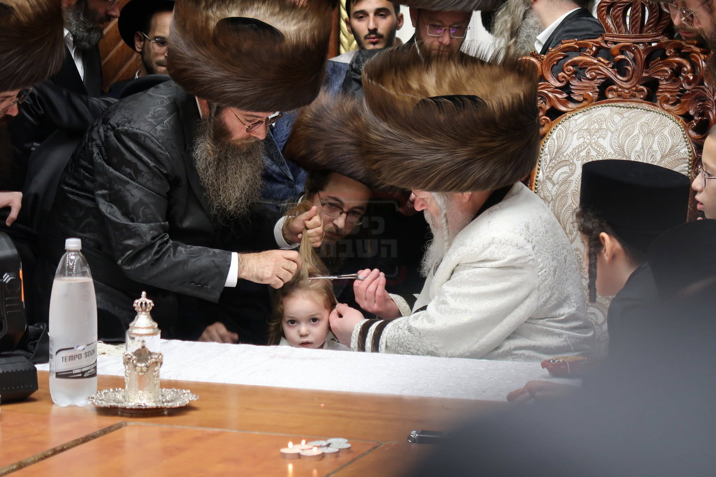 שמחת החלאקה לנכד האדמו"ר מפרמישלאן