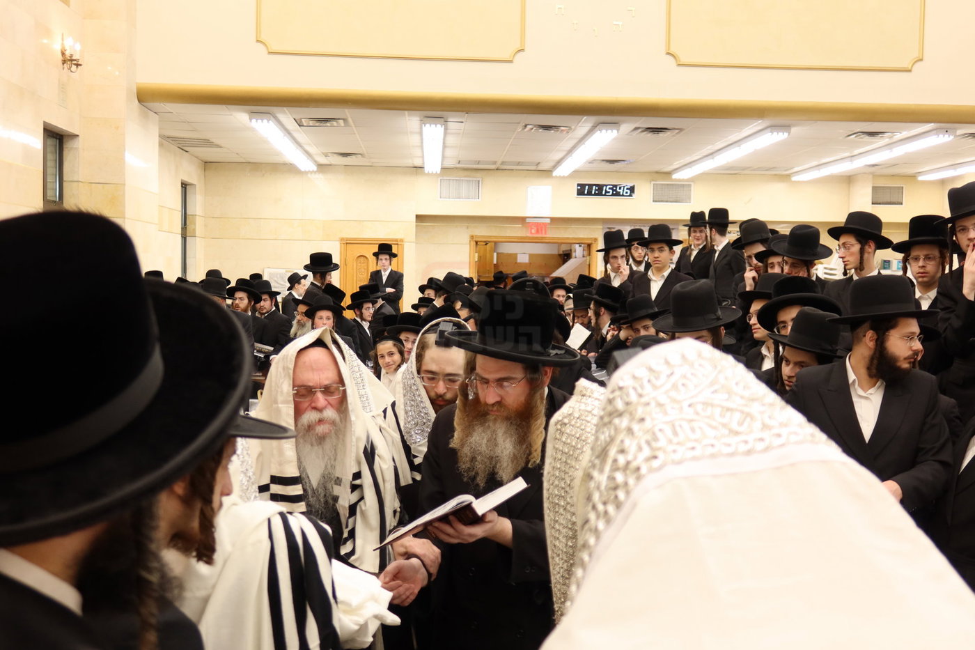 שמחת הברית לנכד האדמו''רים מסערדאהעלי, תולדות יהודה, שבט הלוי, גארליץ ונכד אבד''ק אמונת ישראל 