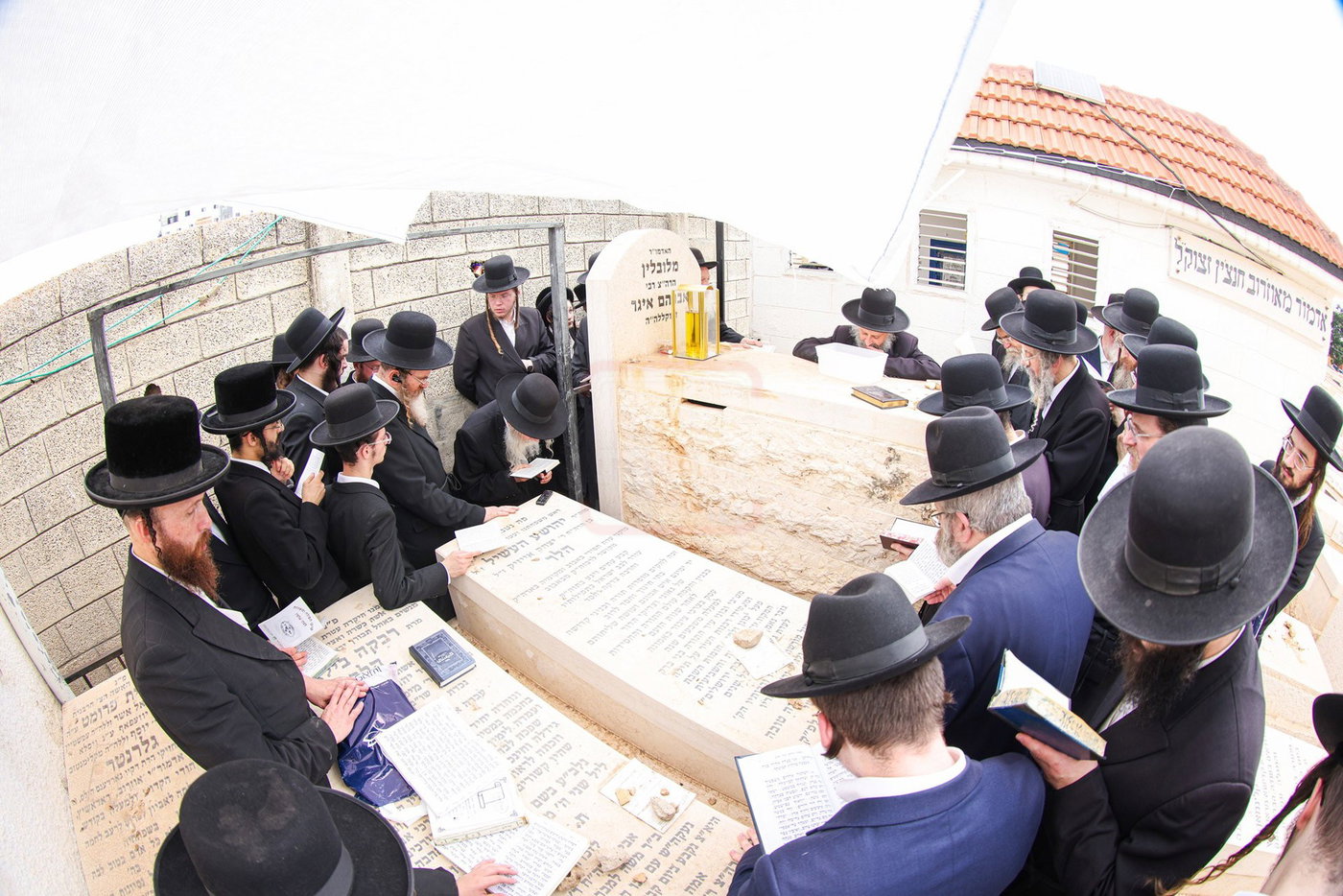 האדמו"ר מאמשינוב בתפילה בבית העלמין בב"ב
