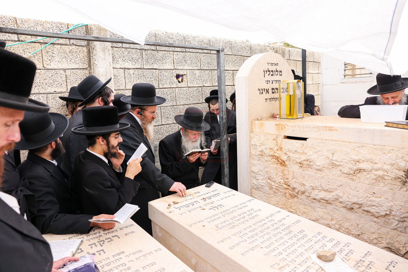 האדמו"ר מאמשינוב בתפילה בבית העלמין בב"ב